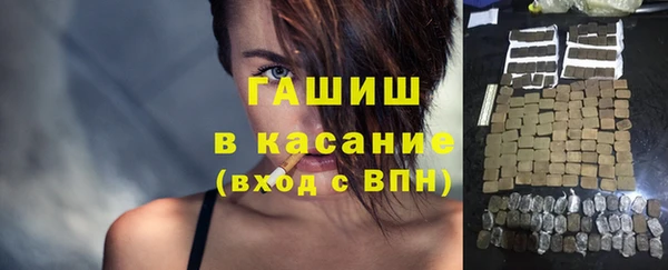 индика Магас