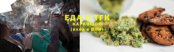 индика Магас