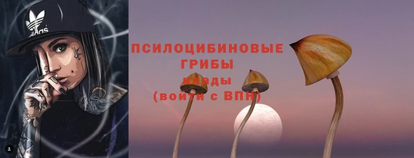 индика Магас