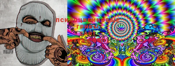 индика Магас