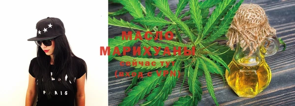 индика Магас