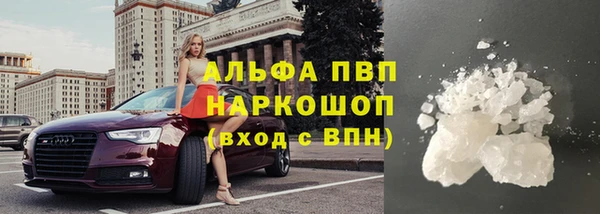 индика Магас
