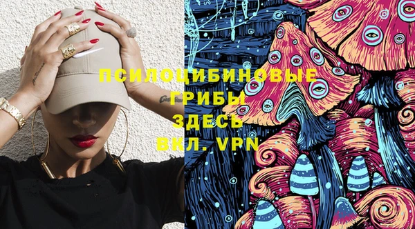 индика Магас